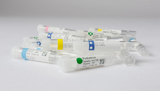 Conceptos básicos de automatización de etiquetas