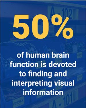 50% of human brain function is devoted to finding and interpreting visual information