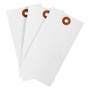 Tyvek Tags