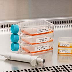 Contenedores de cristal con muestras.