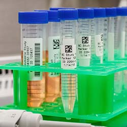 Viales con etiquetas con código QR.