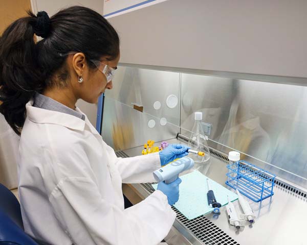 Un científico que realiza una capacitación práctica para dominar un sofisticado programa de gestión de muestras, mejorando su competencia en las operaciones de laboratorio.