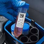 Una etiqueta en un tubo de ensayo que se inserta en una centrífuga.