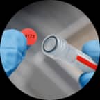 Una etiqueta roja con texto impreso que se aplica a la parte superior de un tubo con un color correspondiente.