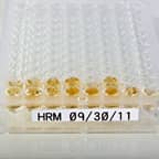 Una placa de pocillos con una etiqueta blanca.