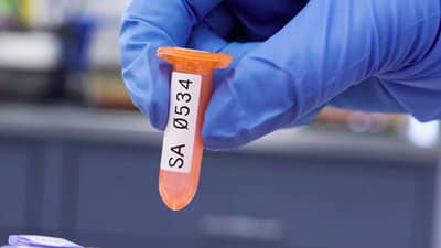 Un técnico de laboratorio sostiene un tubo de ensayo con una etiqueta Brady resistente a productos químicos y bajas temperaturas.