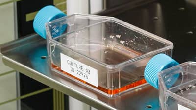 Frascos con etiquetas Brady resistentes a las temperaturas, siendo preparadas para la incubación.