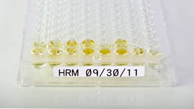 Una placa de pocillos con una etiqueta blanca.