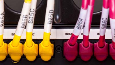 Agrupaciones de cables amarillos y rojos en un panel identificados con etiquetas blancas.